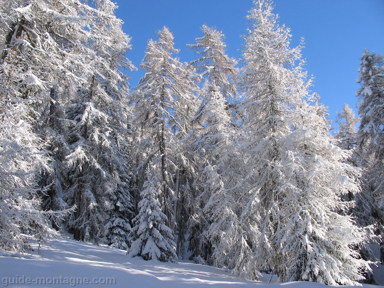 Vallee de Peisey 4